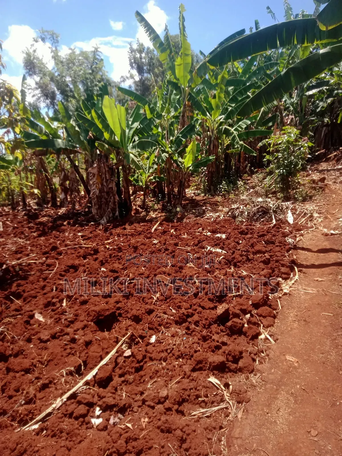 2 Acres on Sale at Maragua-Kaharati in Kimorori/Wempa