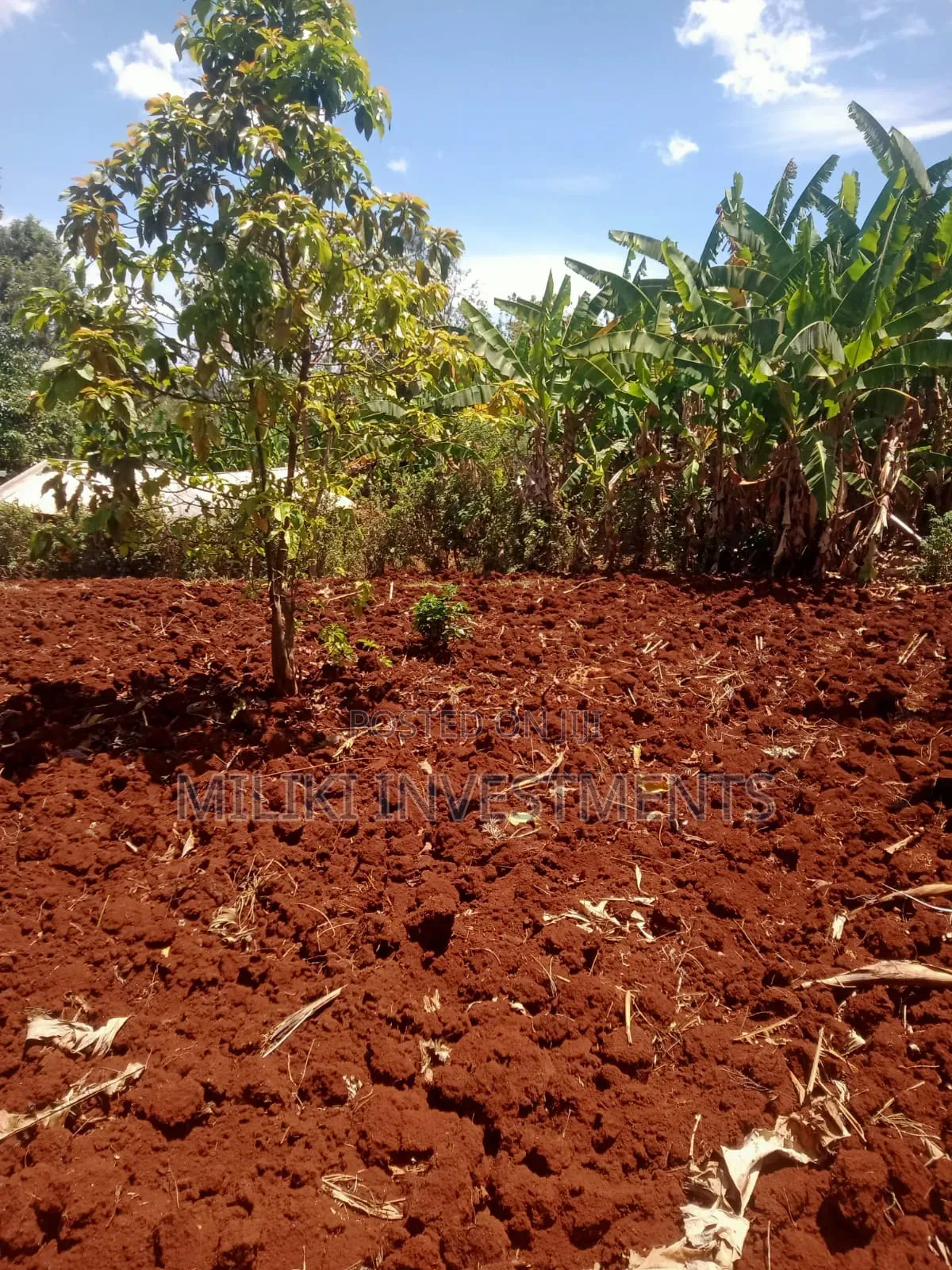 2 Acres on Sale at Maragua-Kaharati in Kimorori/Wempa