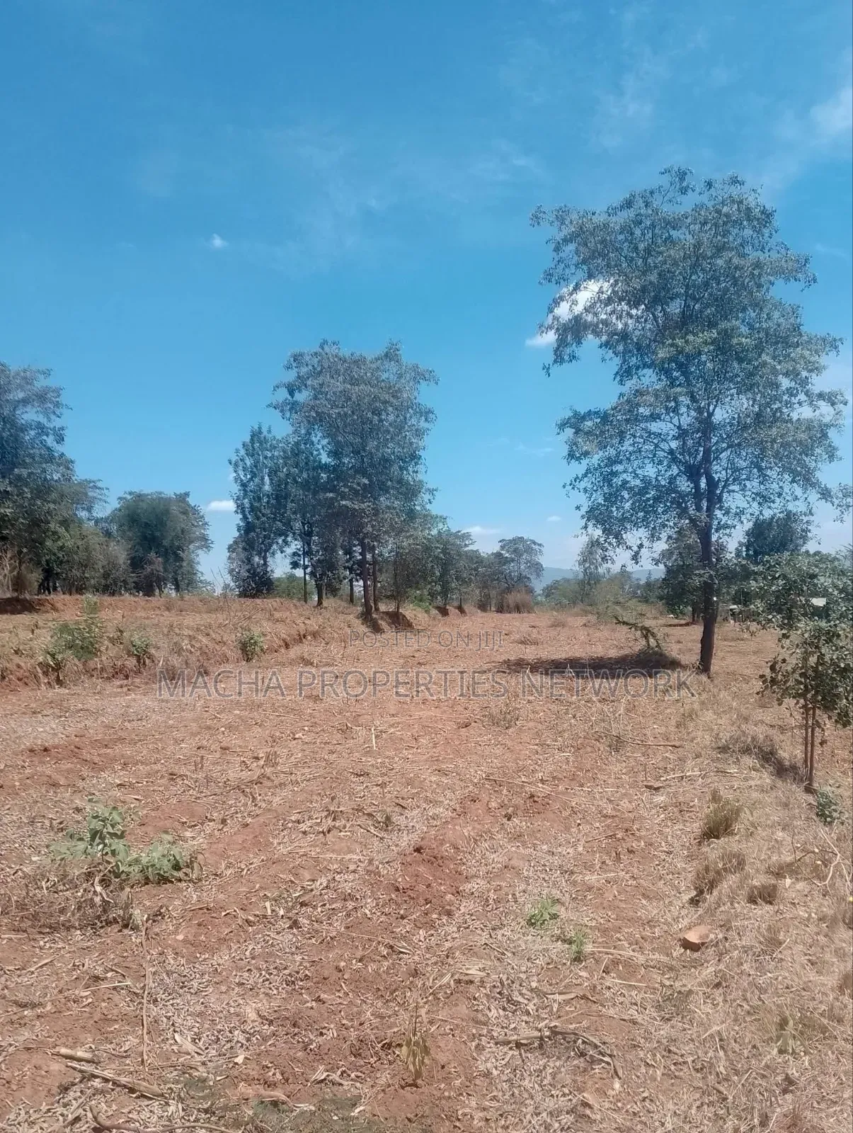 3.6 Acres Masii- Kitooni ,Yoani Village in Mumbuni
