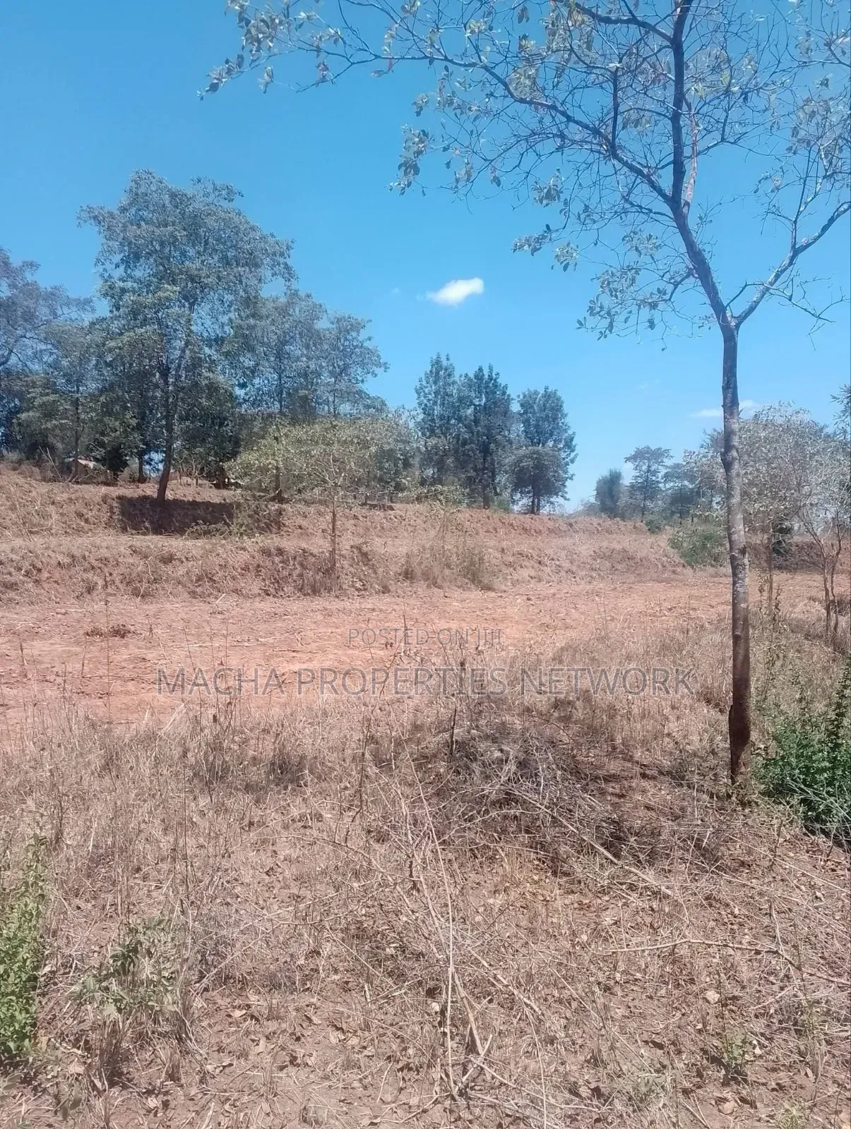 3.6 Acres Masii- Kitooni ,Yoani Village in Mumbuni