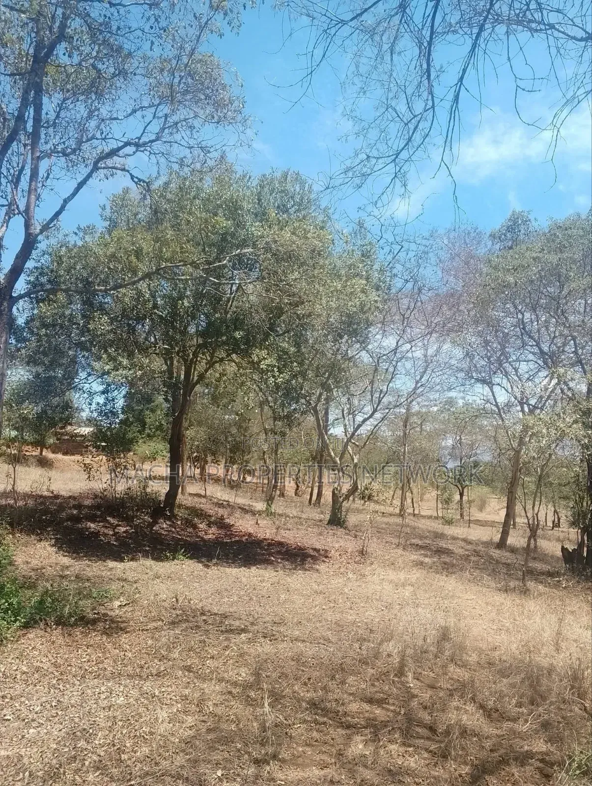 3.6 Acres Masii- Kitooni ,Yoani Village in Mumbuni
