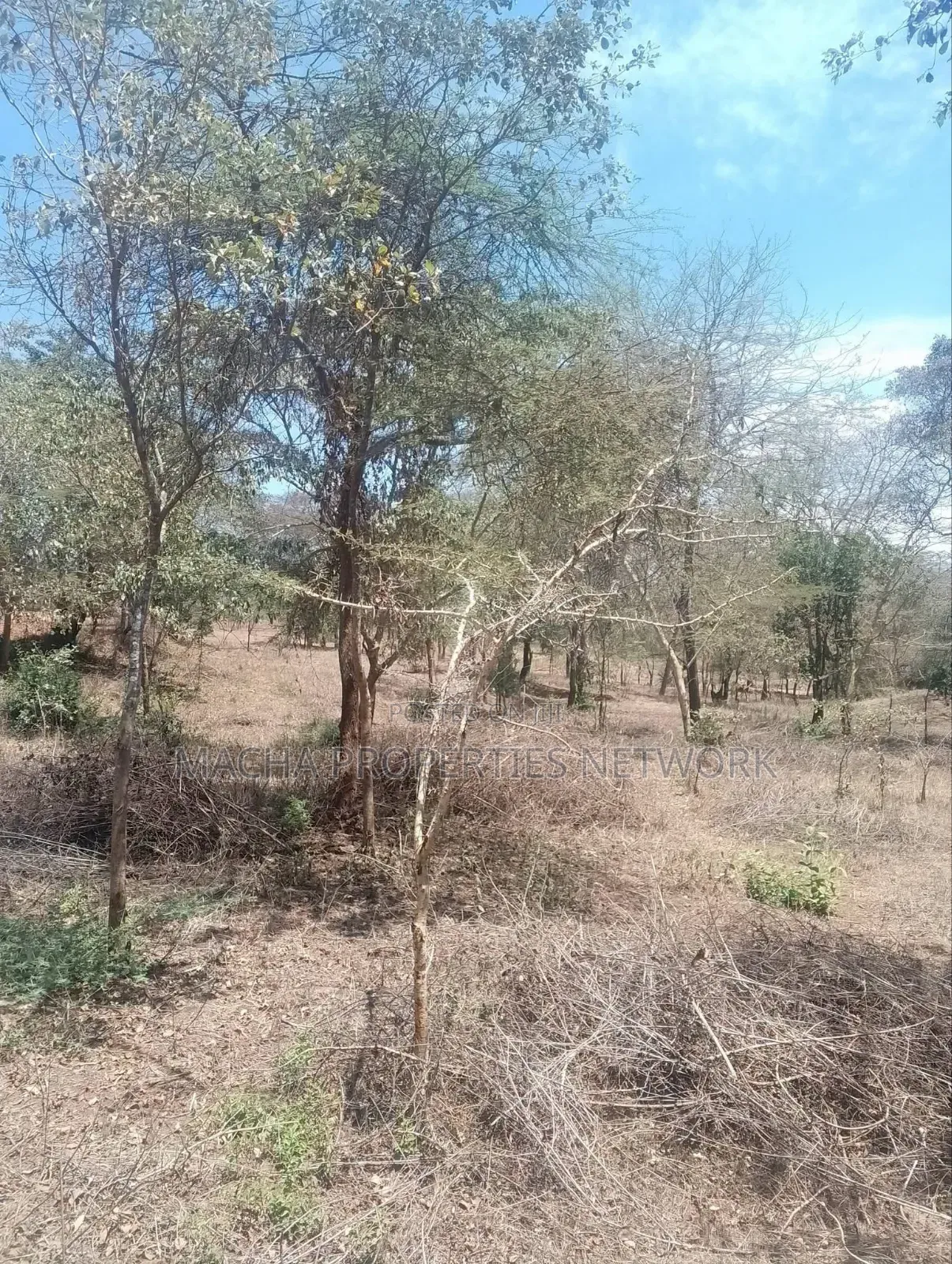 3.6 Acres Masii- Kitooni ,Yoani Village in Mumbuni