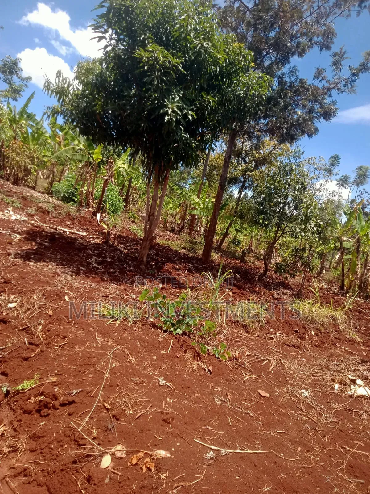 .9 Acres Commercia Land on Sale at Kaharati in Kimorori/Wempa
