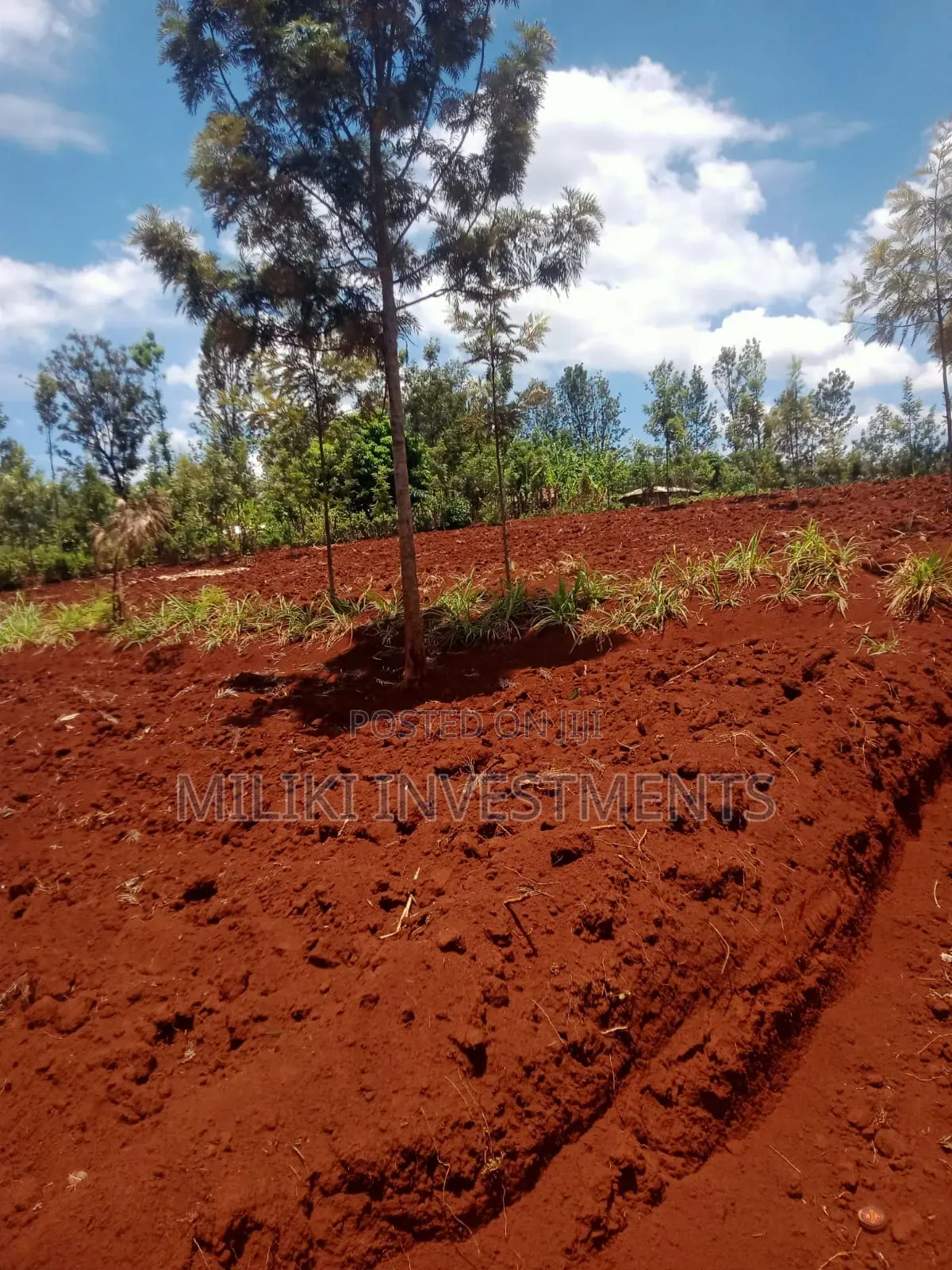 1 Acre Commercial Land on Sale at Kaharati in Kamahuha