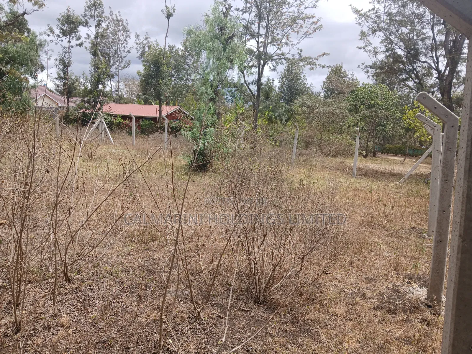 Prime 50 by 100 Plot in Kaurrai, Upper Matasia in Matasia
