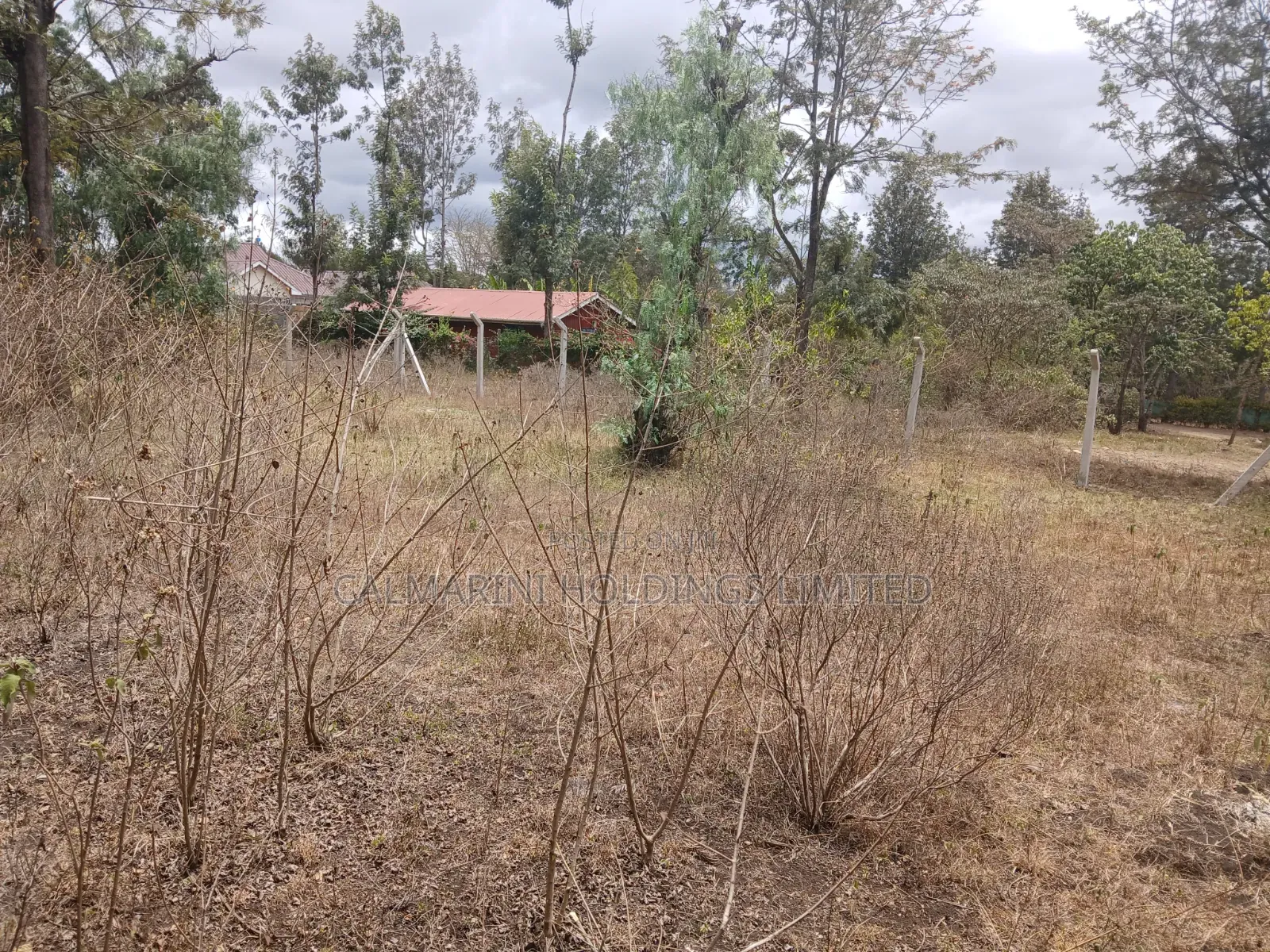 Prime 50 by 100 Plot in Kaurrai, Upper Matasia in Matasia