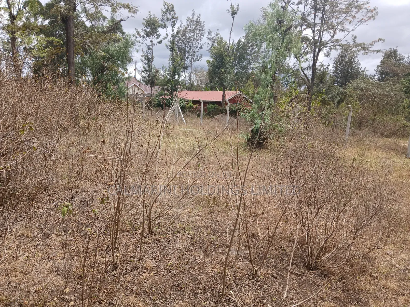 Prime 50 by 100 Plot in Kaurrai, Upper Matasia in Matasia