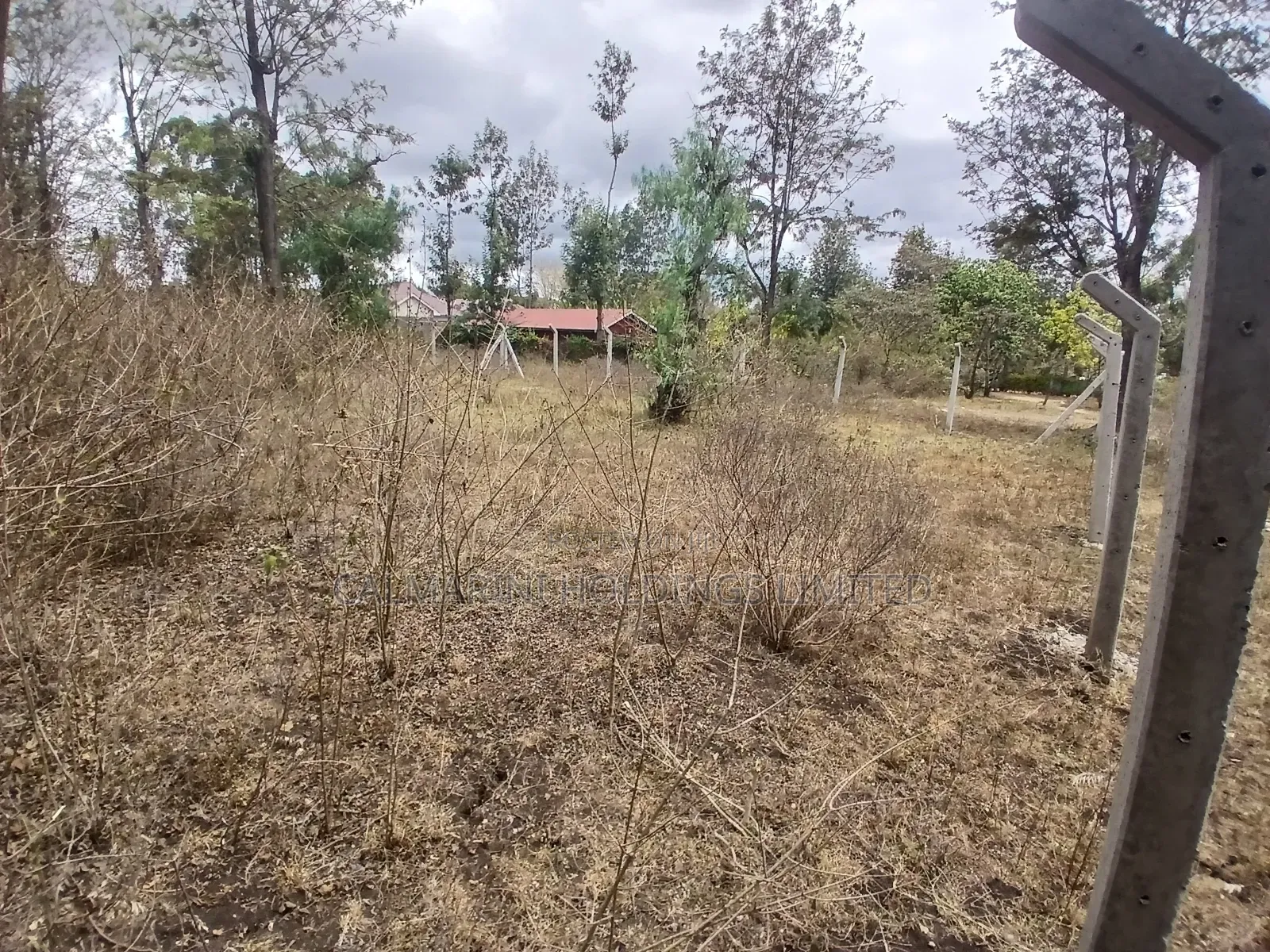 Prime 50 by 100 Plot in Kaurrai, Upper Matasia in Matasia
