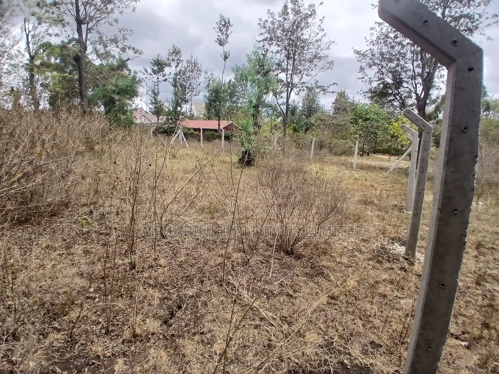 Prime 50 by 100 Plot in Kaurrai, Upper Matasia in Matasia