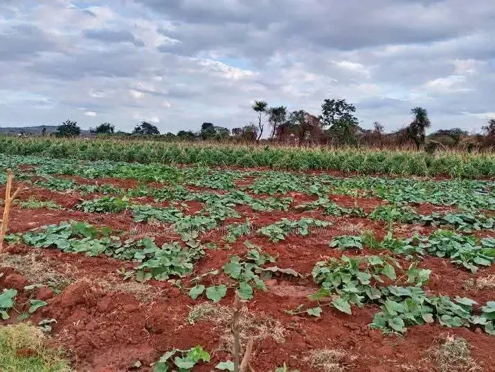 5 Acres Red Soil - Masinga Catching the Dam in Masinga Central