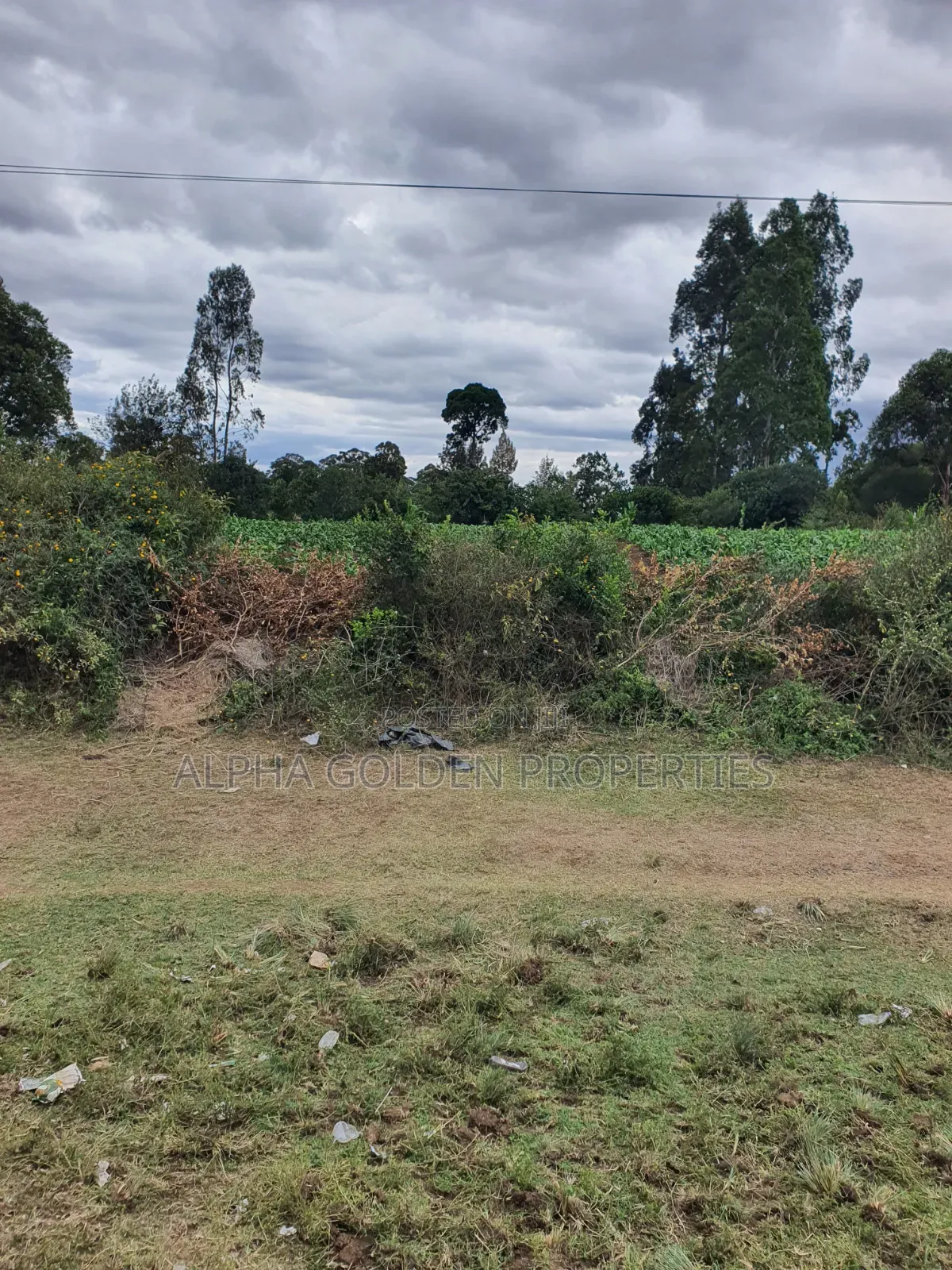 Plots on Nanyuki Highway in Nanyuki