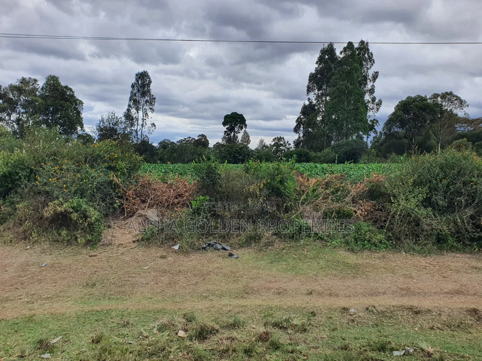 Plots on Nanyuki Highway in Nanyuki