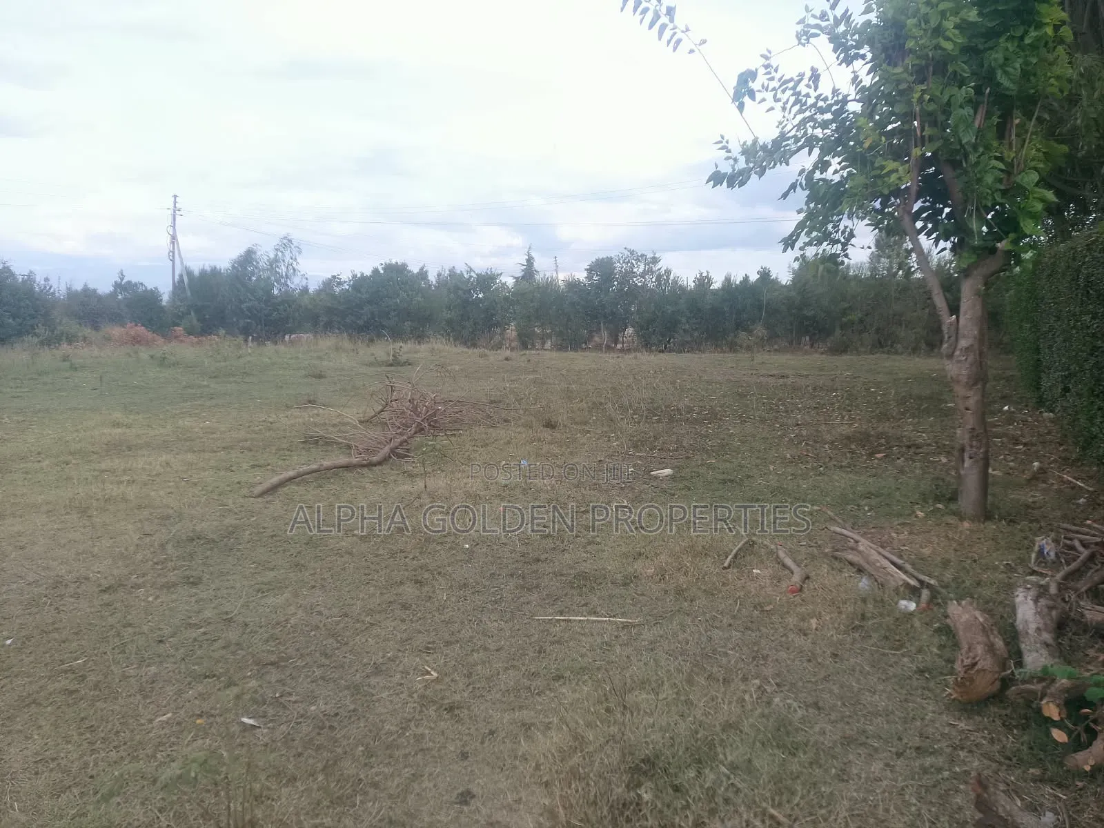 1/2 Acre on Sale Near Total Energies in Nanyuki