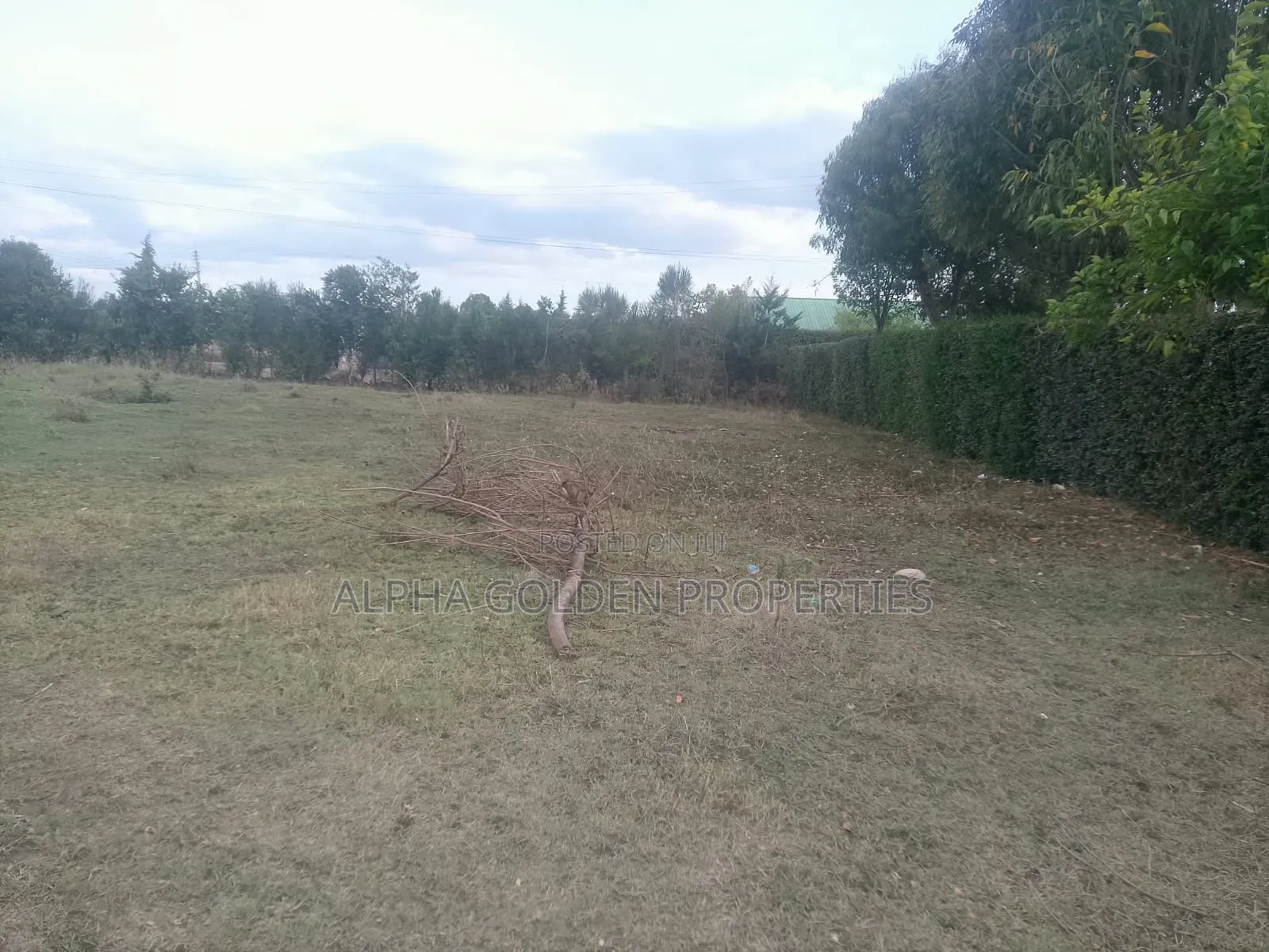 1/2 Acre on Sale Near Total Energies in Nanyuki