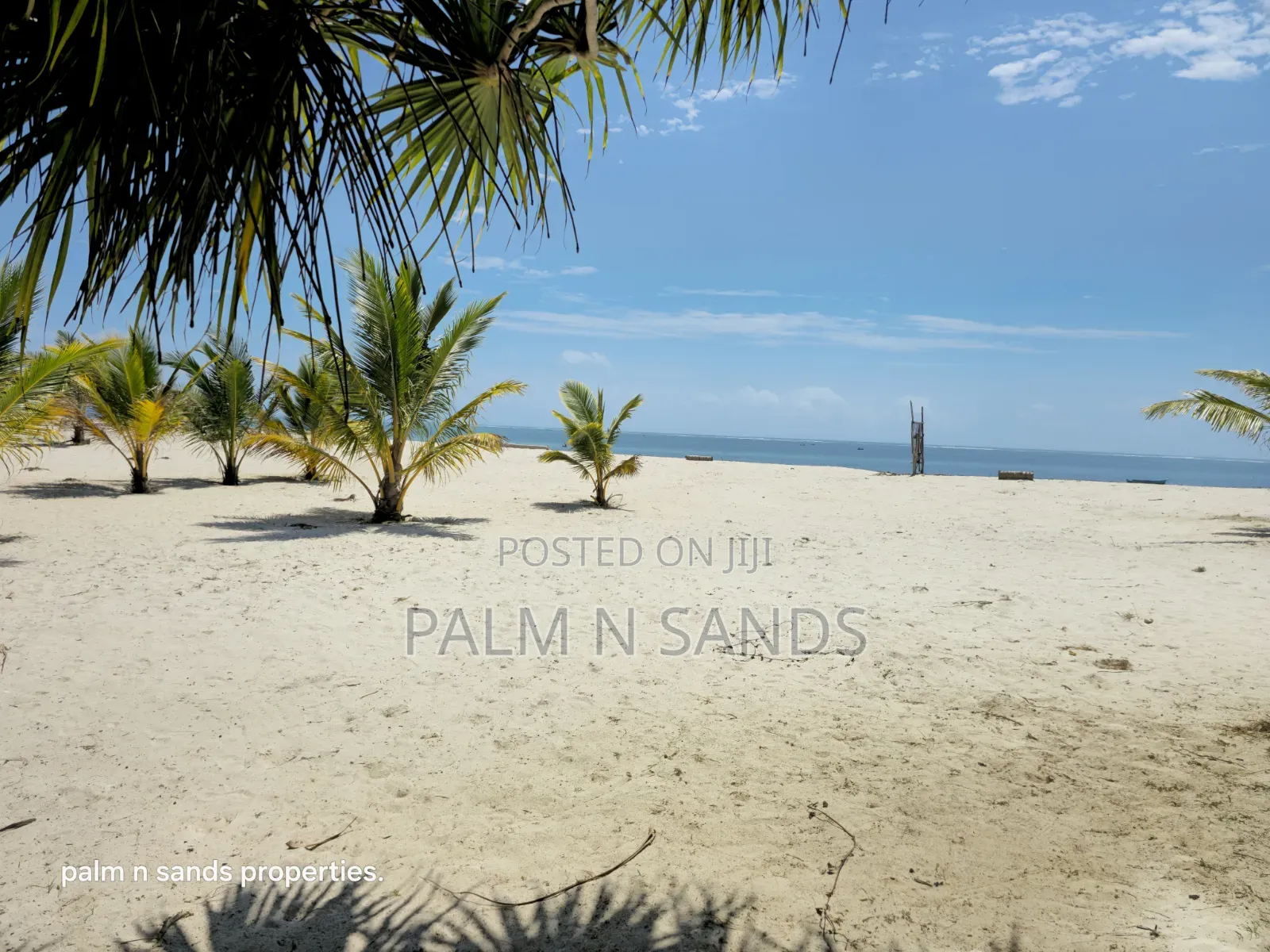  Prime Half Acre Beachfront Living in Galu Kinondo!  in Diani
