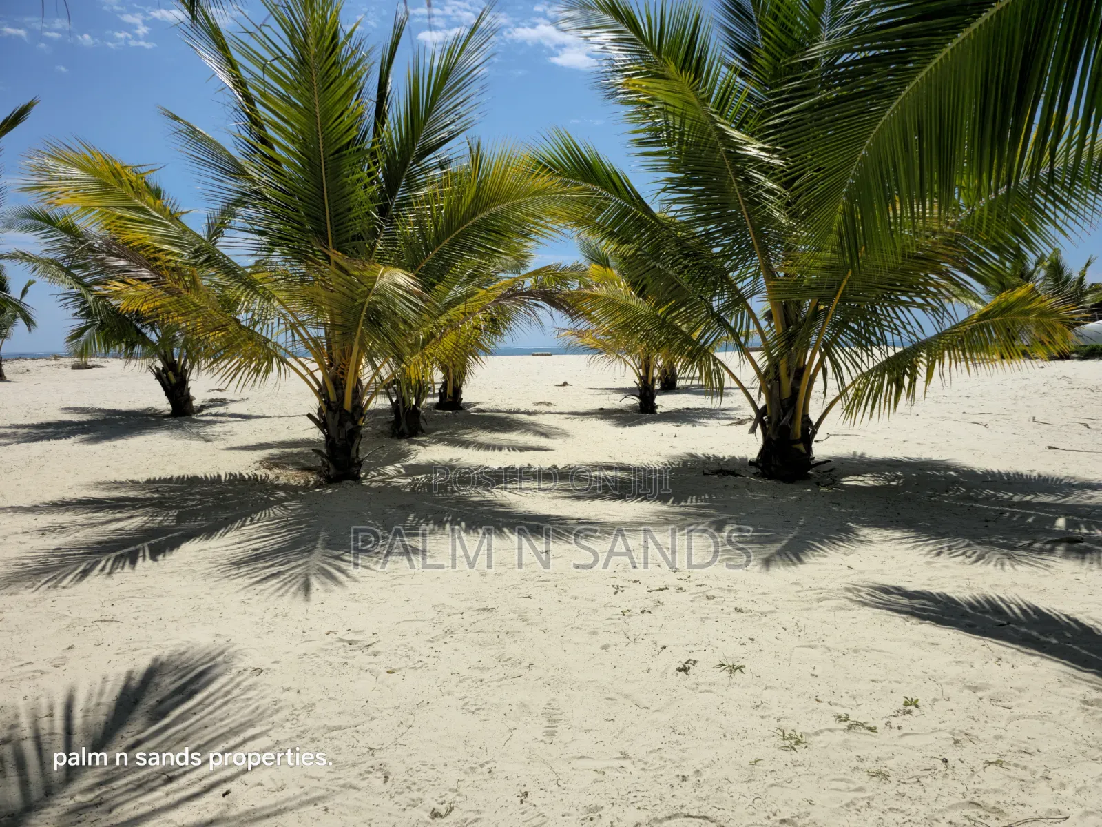  Prime Half Acre Beachfront Living in Galu Kinondo!  in Diani