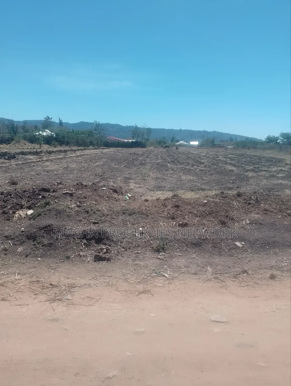 3 Joint Plots Each Sized 50by 100ft MKS- Kenya Israel in Mumbuni