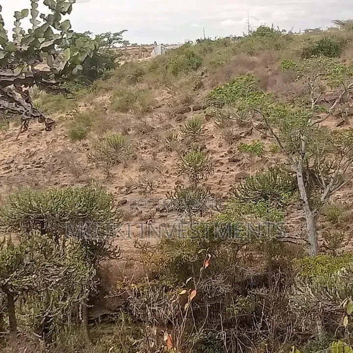 2.5 Acres of Land on Sale at Juja Farm in Murera