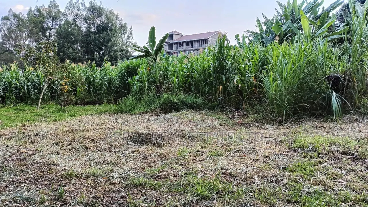 Land for Sale in Regen in Regen