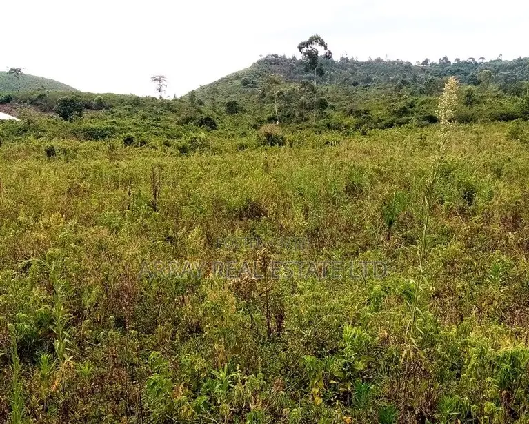 Western Hills – 1/8 Acre Residential Plots for Sale in Dago, Kisumu in Ukunda
