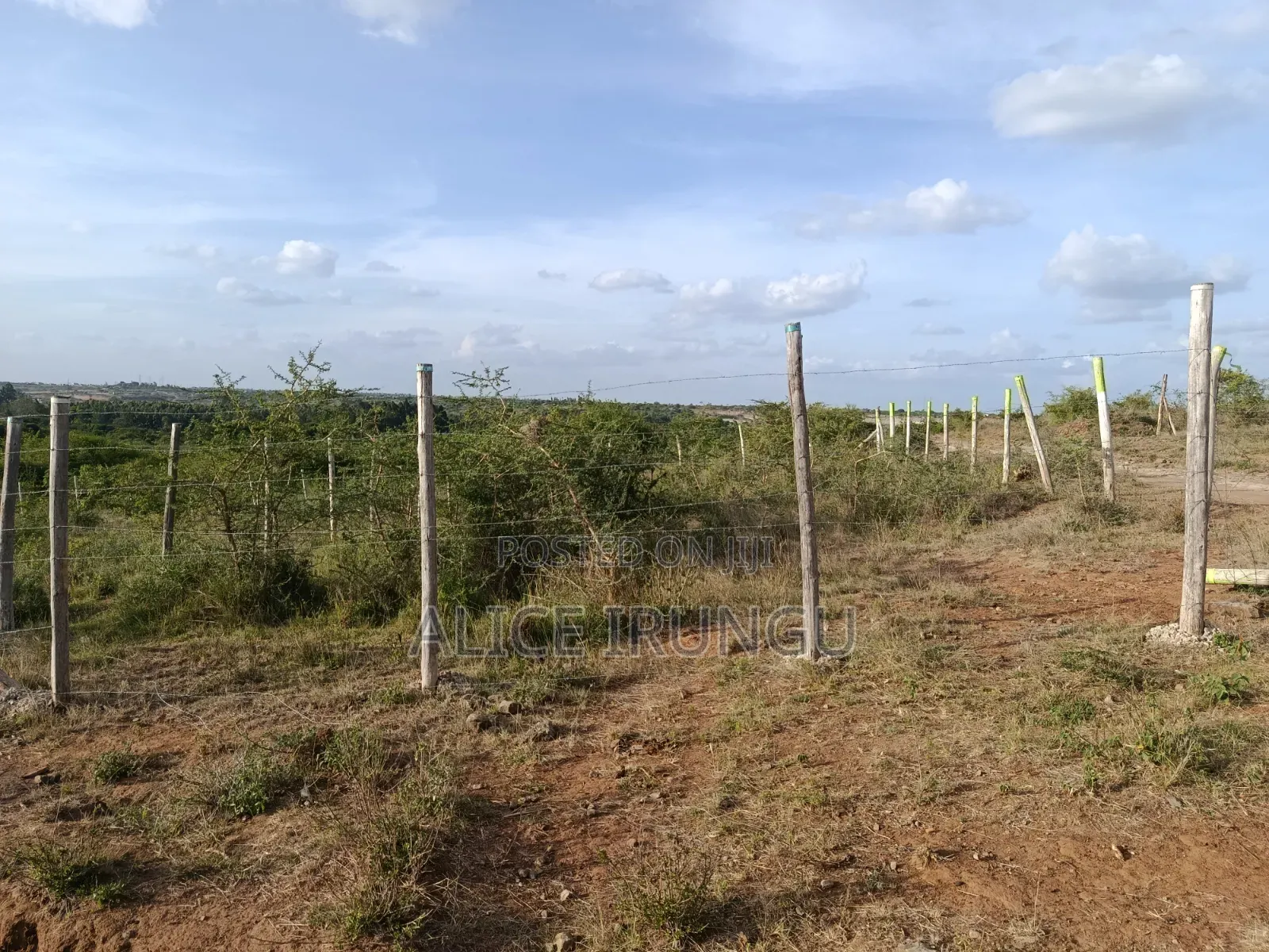 Plots for Sale Juja Farm, Kiambu in Kalimoni