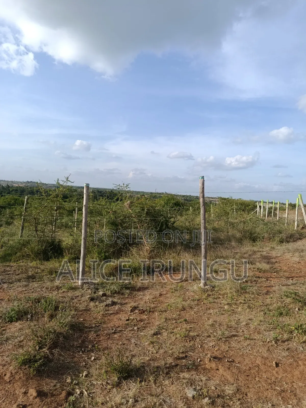 Plots for Sale Juja Farm, Kiambu in Kalimoni