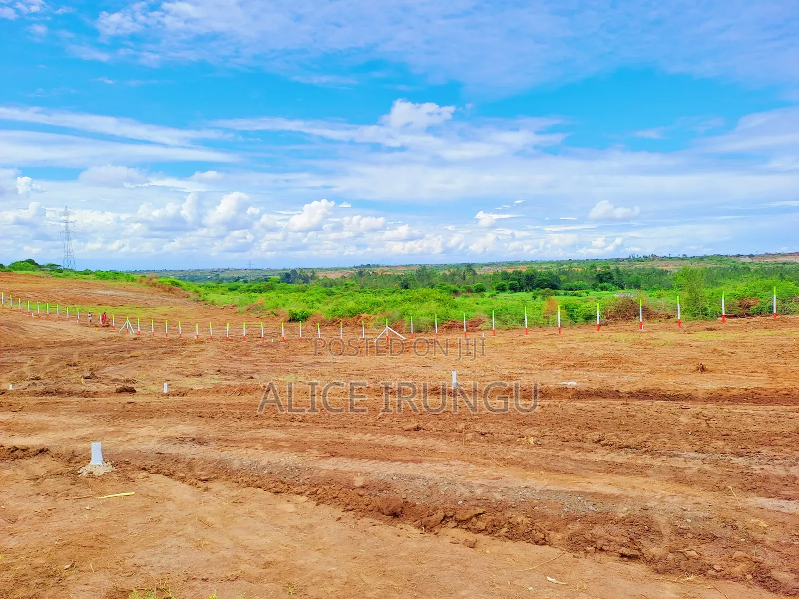 Plots for Sale Juja Farm, Kiambu in Kalimoni