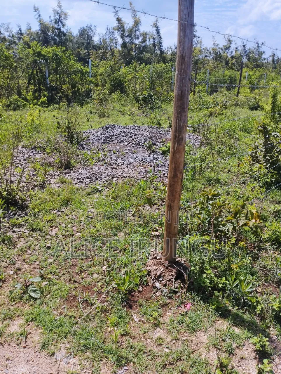 Plots for Sale in Murang’a. Own Your Piece of Land Today in Mbiri