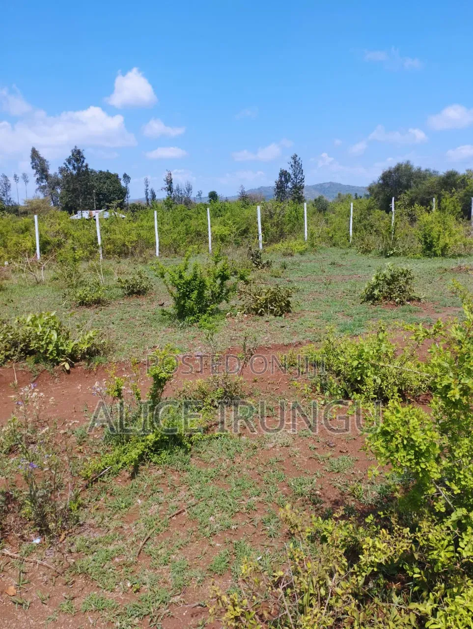 Plots for Sale in Murang’a. Own Your Piece of Land Today in Mbiri