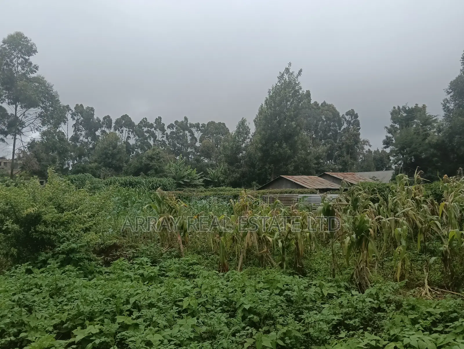 1⁄2 Acre Commercial Land for Sale in Limuru in Bibirioni