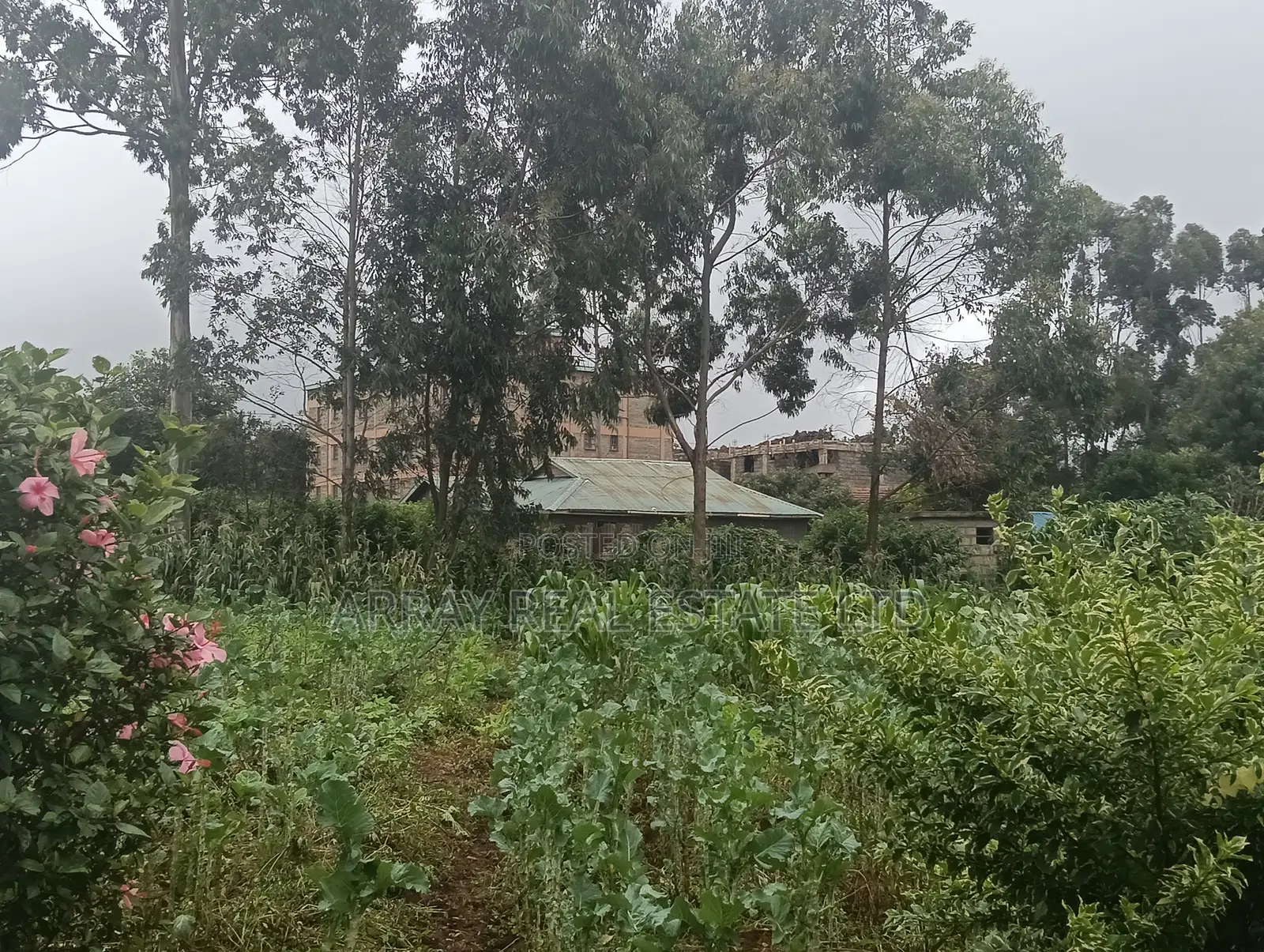 1⁄2 Acre Commercial Land for Sale in Limuru in Bibirioni
