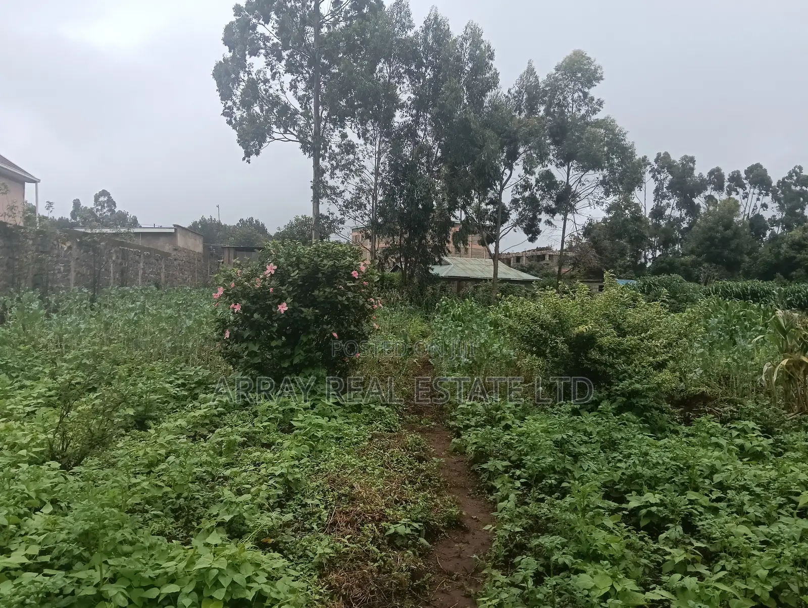 1⁄2 Acre Commercial Land for Sale in Limuru in Bibirioni