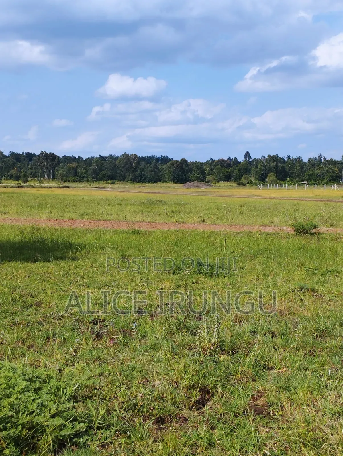 Plots for Sale Near Sagana Town | Kenol–marua Dual Carriageway in Kiine