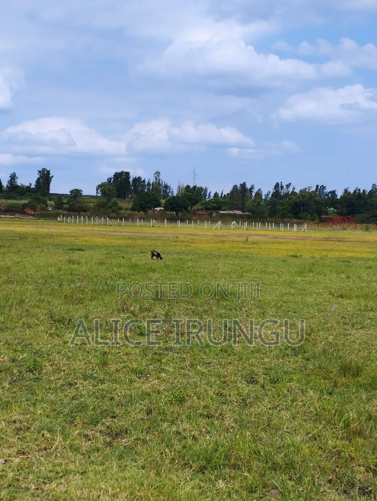 Plots for Sale Near Sagana Town | Kenol–marua Dual Carriageway in Kiine