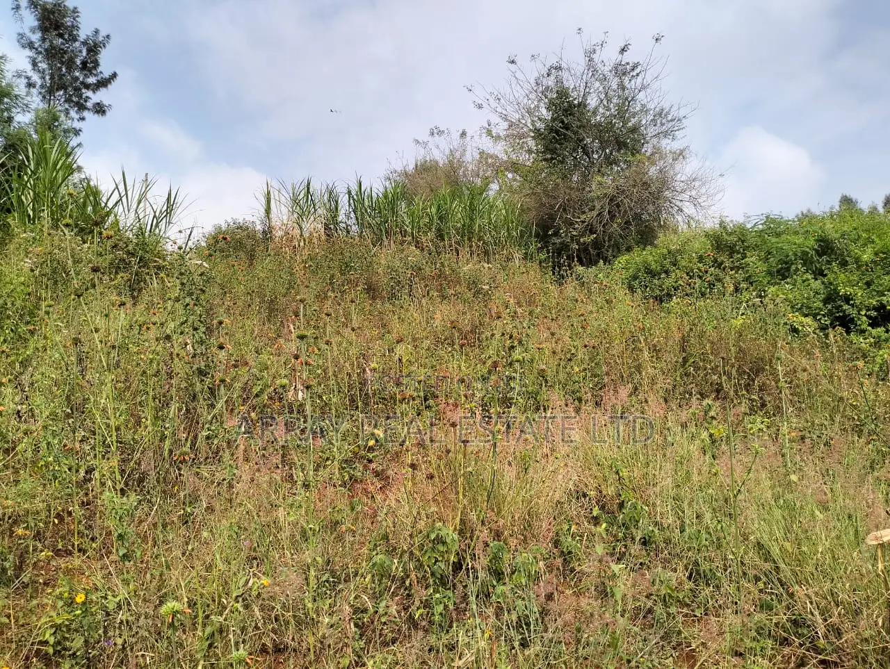 Prime 50×100 Plots for Sale in Lower Kabete in Wangige