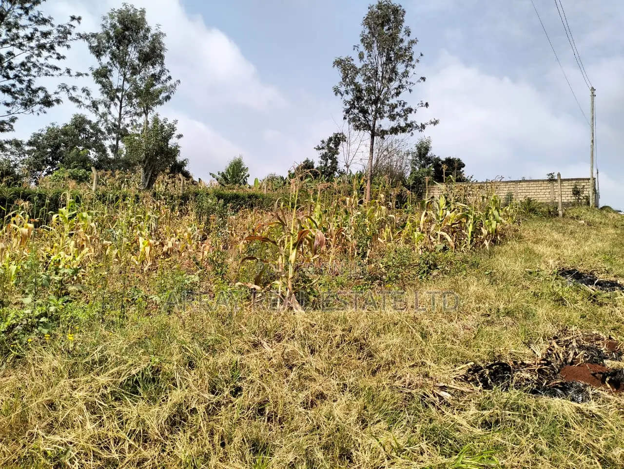 Prime 50×100 Plots for Sale in Lower Kabete in Wangige