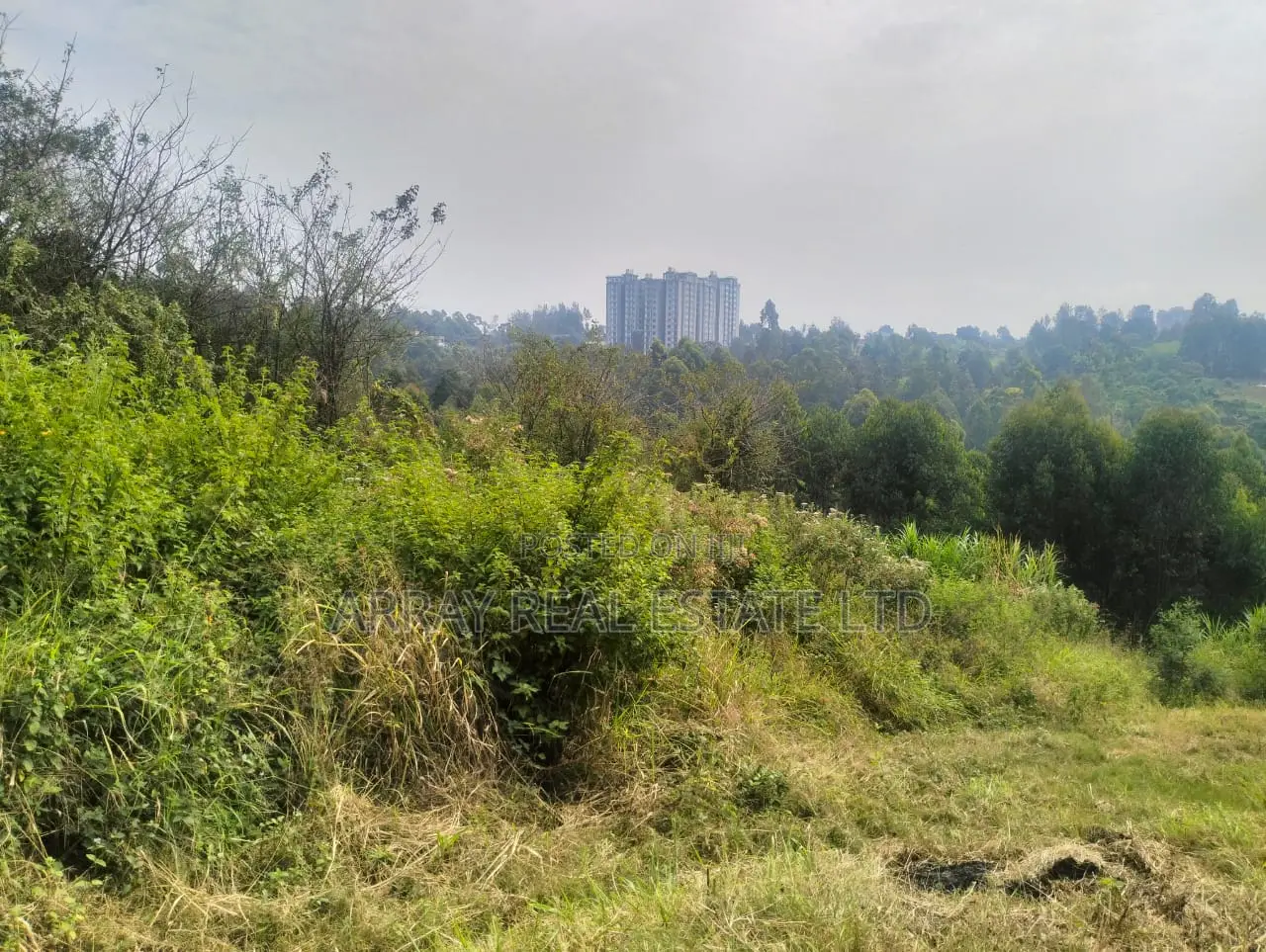 Prime 50×100 Plots for Sale in Lower Kabete in Wangige
