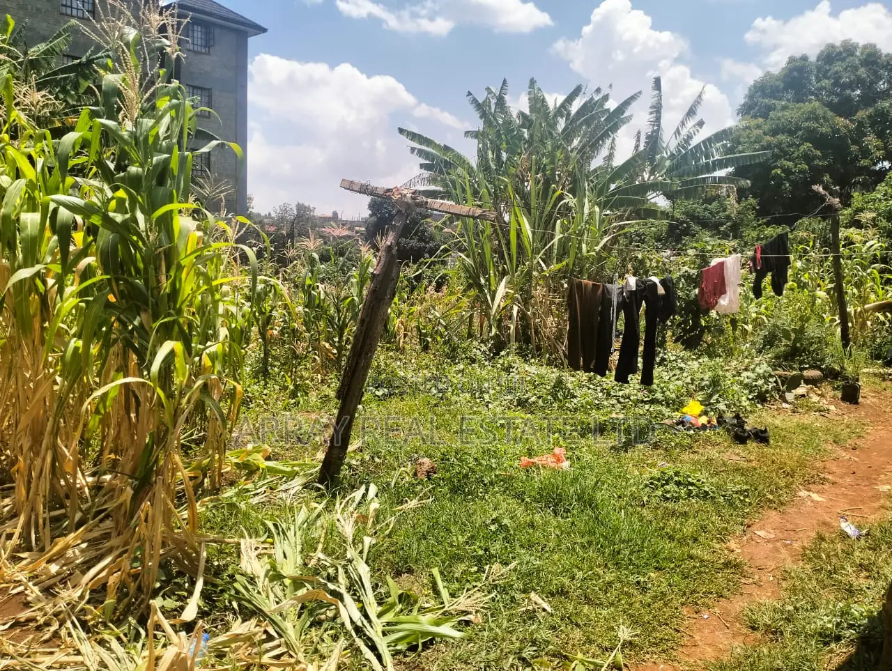 Prime Land for Sale in Kingeero – Kanisa Road in Gathiga