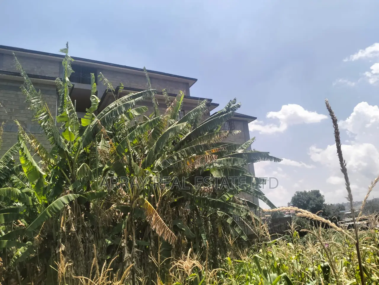 Prime Land for Sale in Kingeero – Kanisa Road in Gathiga