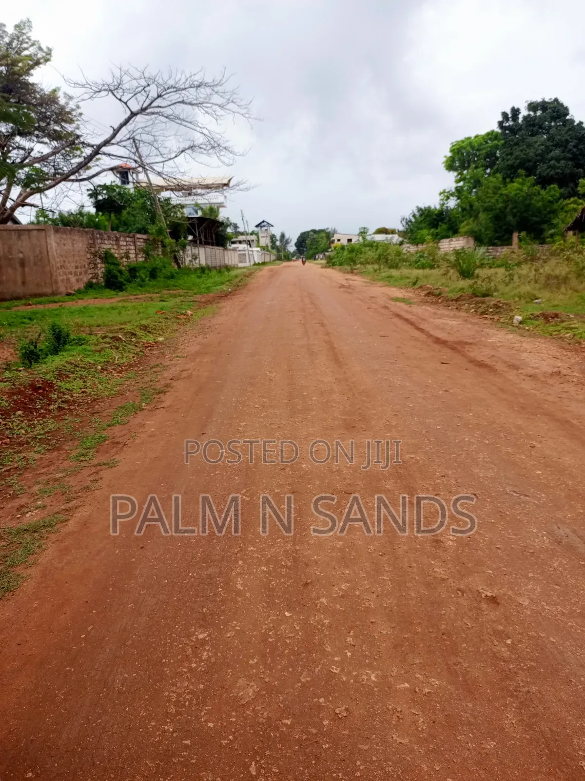 One Acre With Mango Trees on Sale in Diani in Diani