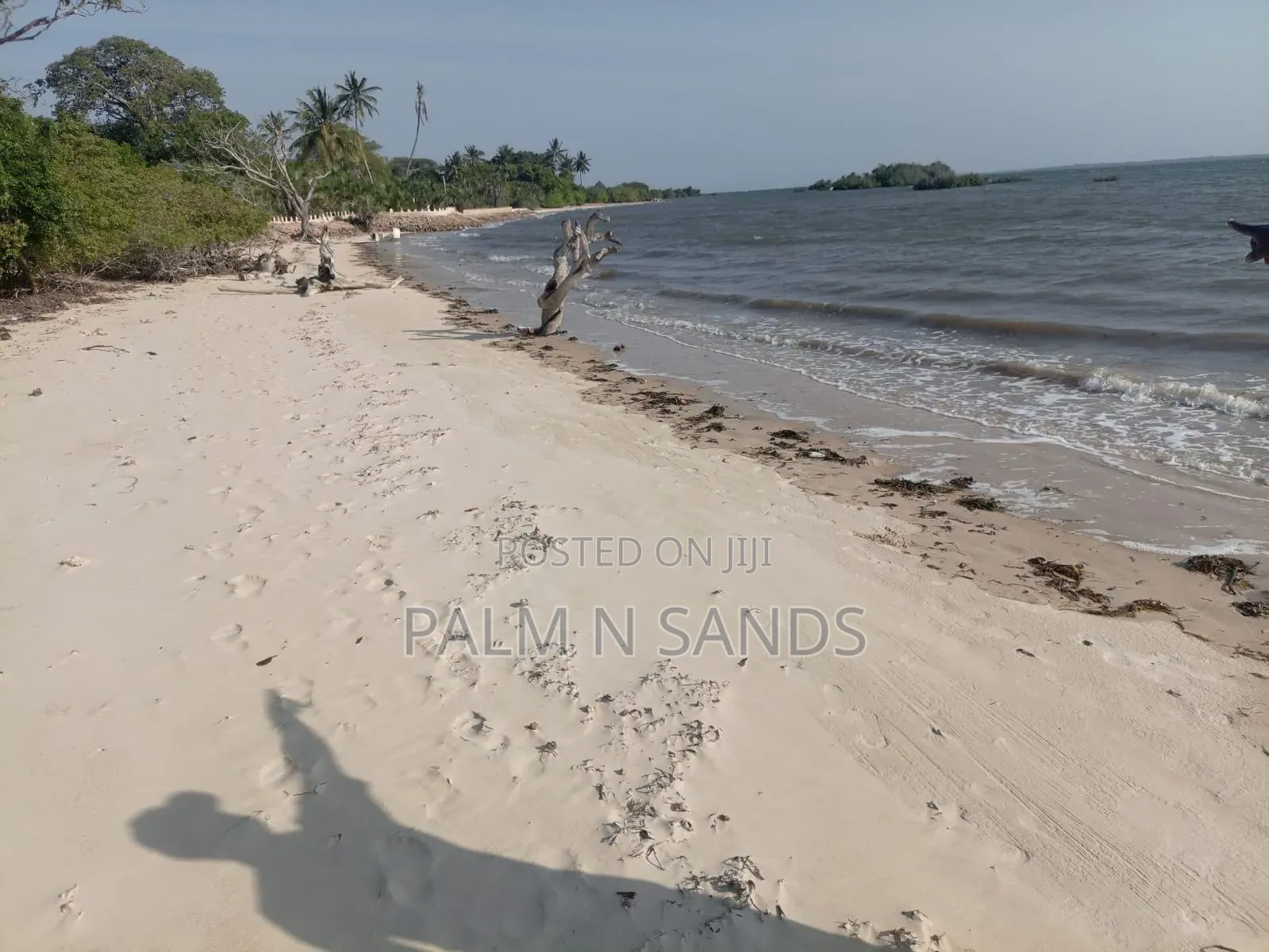 1.25 Acre Sandy Beachfront Land on Sale!! in Diani