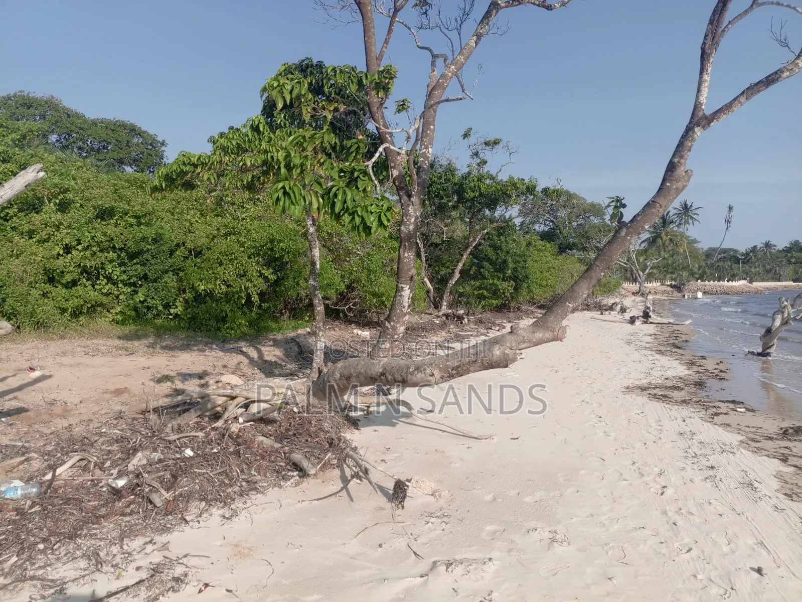 1.25 Acre Sandy Beachfront Land on Sale!! in Diani