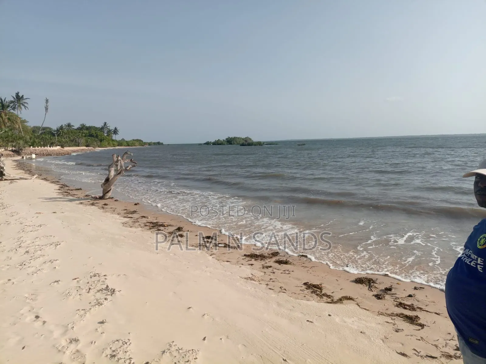 1.25 Acre Sandy Beachfront Land on Sale!! in Diani
