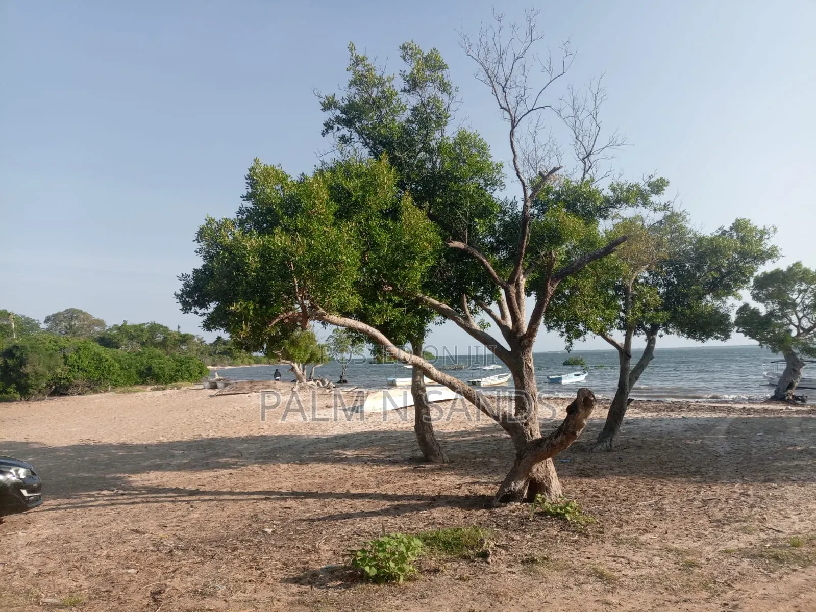 1.25 Acre Sandy Beachfront Land on Sale!! in Diani