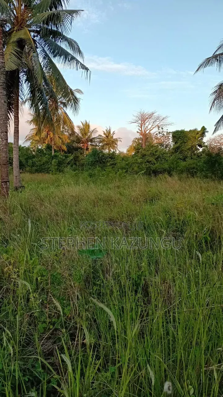 Nice 1/8 Acre Plot at Makongeni, Kinondo at 250 Metres From Tarmac Road in Diani