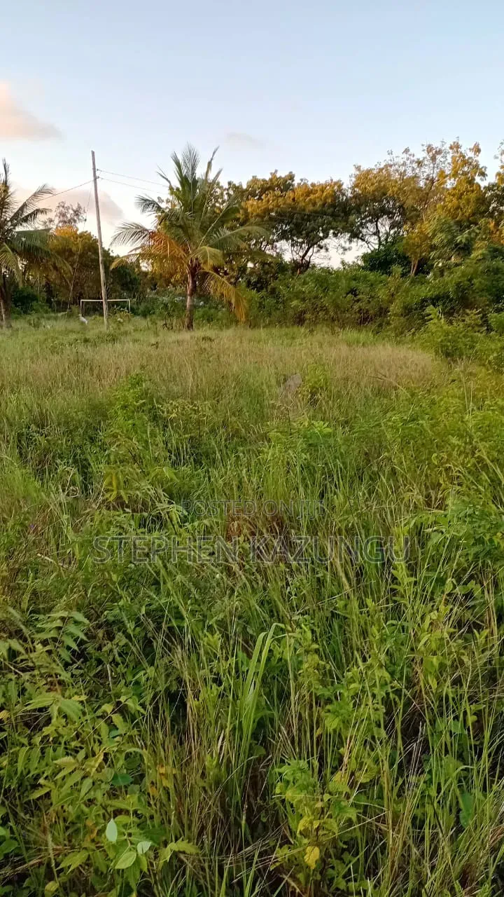 Nice 1/8 Acre Plot at Makongeni, Kinondo at 250 Metres From Tarmac Road in Diani