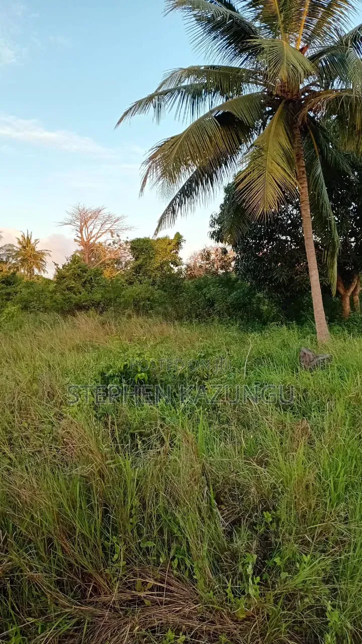 Nice 1/8 Acre Plot at Makongeni, Kinondo at 250 Metres From Tarmac Road in Diani
