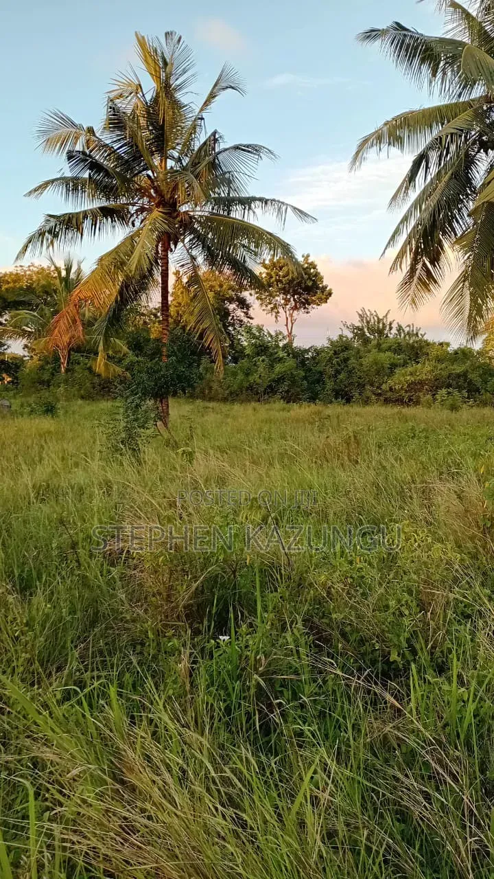 Nice 1/8 Acre Plot at Makongeni, Kinondo at 250 Metres From Tarmac Road in Diani