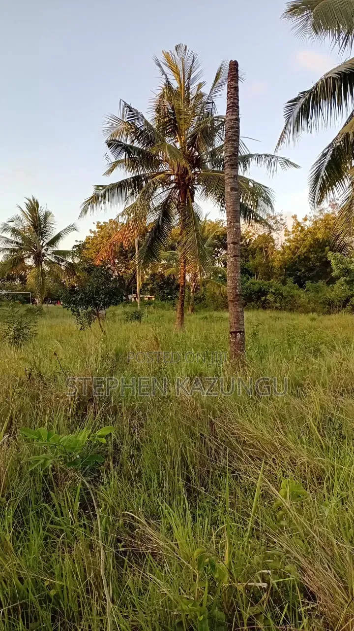 Nice 1/8 Acre Plot at Makongeni, Kinondo at 250 Metres From Tarmac Road in Diani