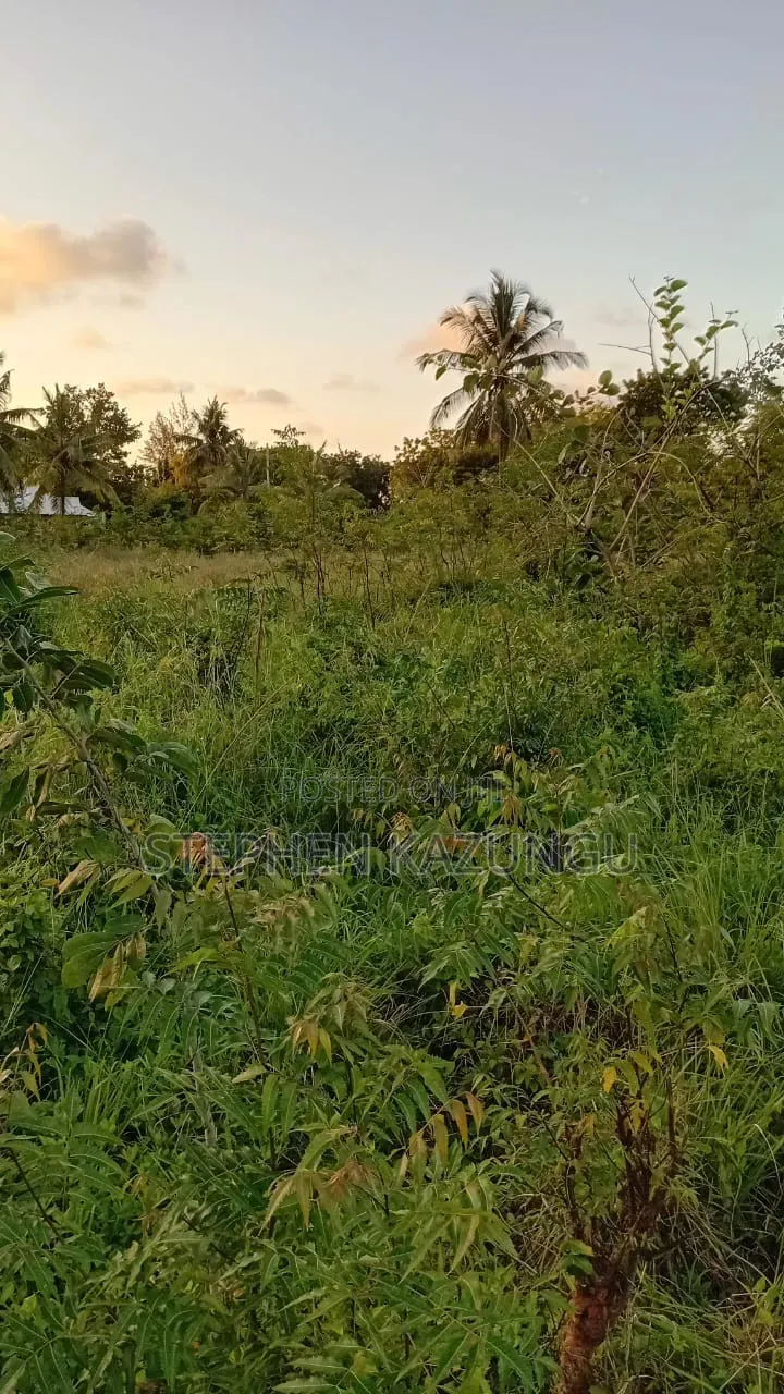 Stand-Alone 1/8 Acre Plot at Makongeni, 300 Metres From the Main Road. in Diani